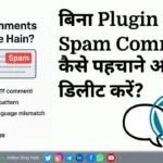 Spam Comments Kya Hote Hain? | कैसे पहचाने और डिलीट करें (बिना plugin)